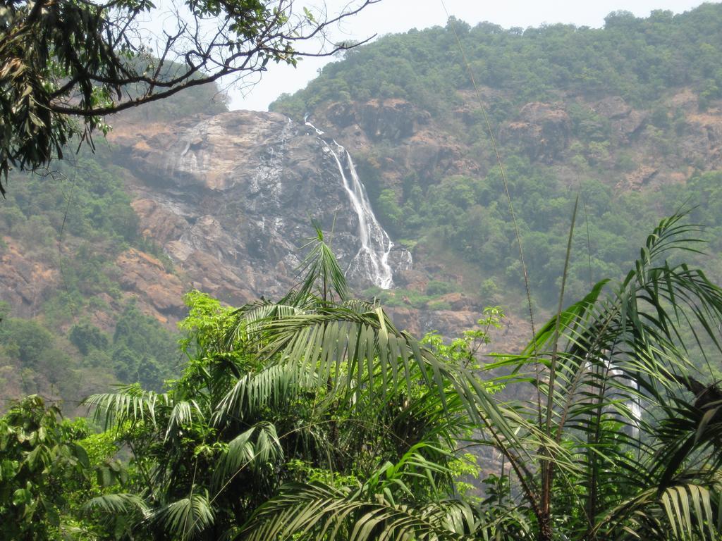 Cormonem Dudhsagar Plantationヴィラ エクステリア 写真