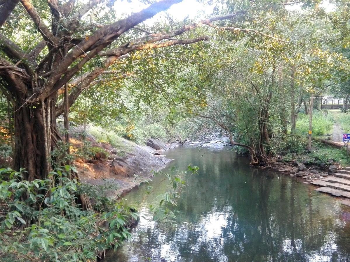 Cormonem Dudhsagar Plantationヴィラ エクステリア 写真